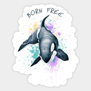 Orca Whale Born Free Keiko Art Sticker